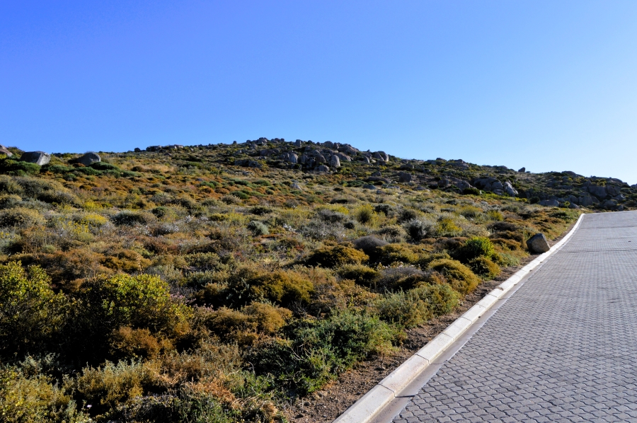 0 Bedroom Property for Sale in Steenbergs Cove Western Cape